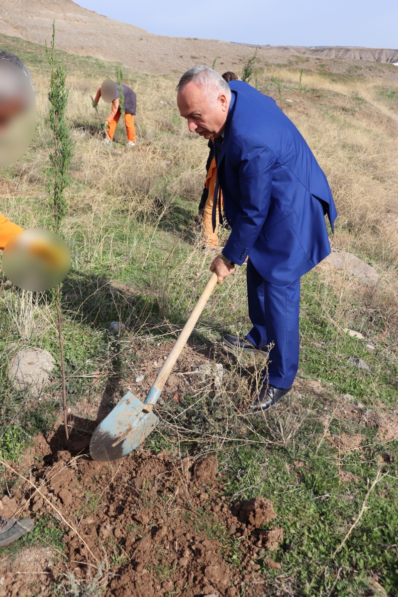 11.11.2025 tarihinde Milli Ağaçlandırma