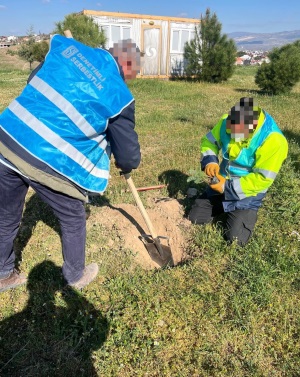 Orman Haftasında 200 Adet Fidan Toprakla Buluştu