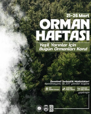 Adalet Ormanında Bakım Onarım Çalışması Yapıldı