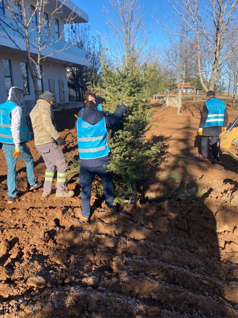 Kamu Yararına Çalışma