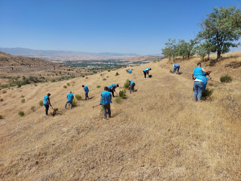Kamu Yararına Çalışma