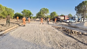 Hükümlüler, Ormanların Korunması ve Bakımına Yönelik Çalışmalarda Görev Üstleniyor