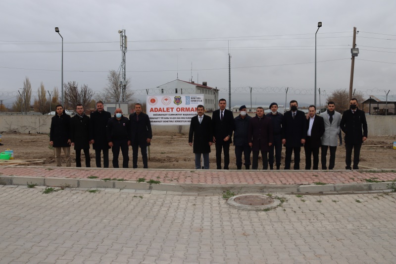AĞAÇ DİKİMİ