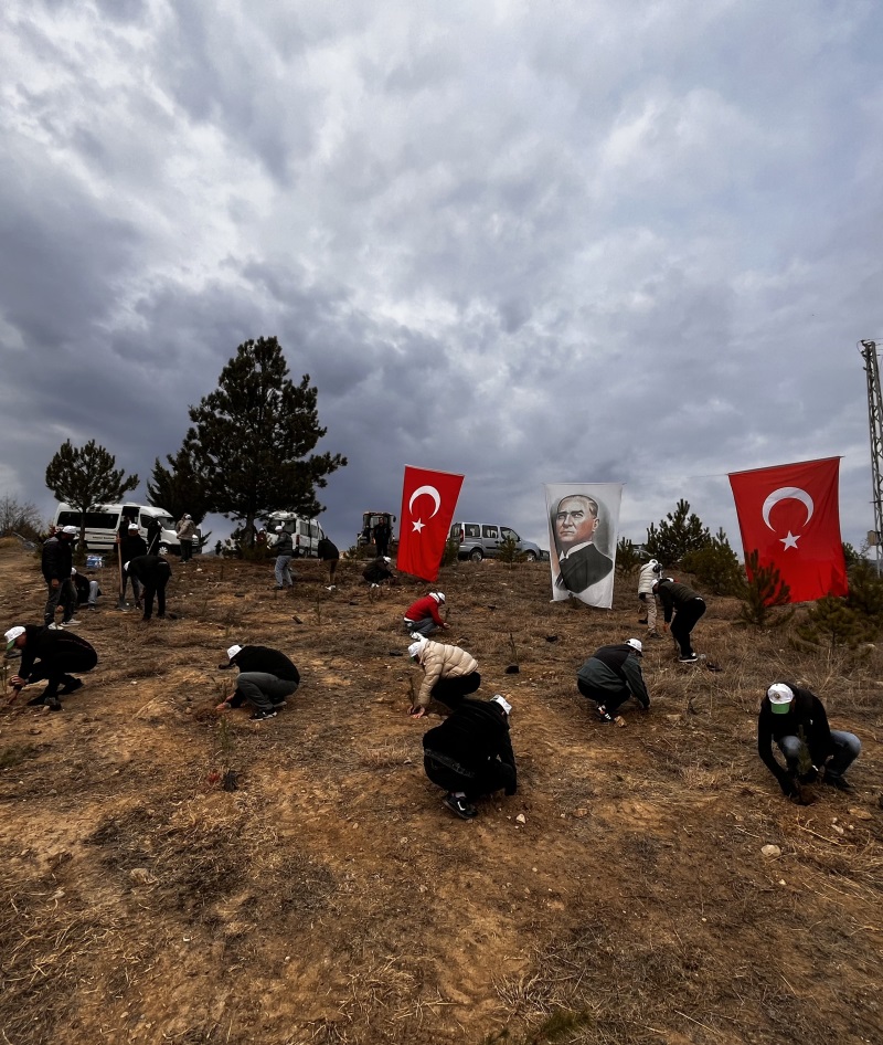11 kasım Ağaçlandırma Günü