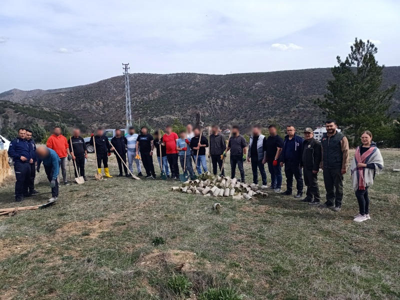 21-26 Mart Orman Haftası 