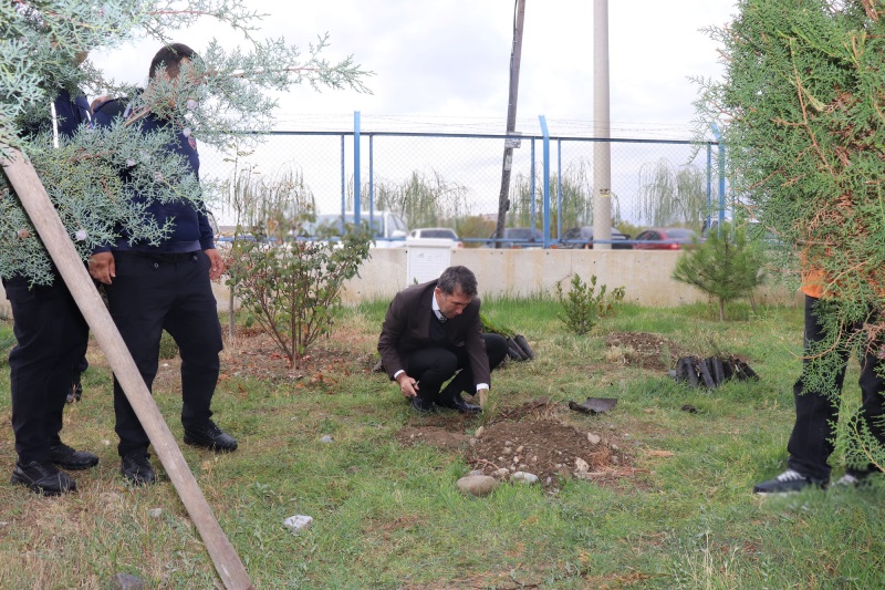 100.yıl dönümü 100 Fidan dikme etkinliği