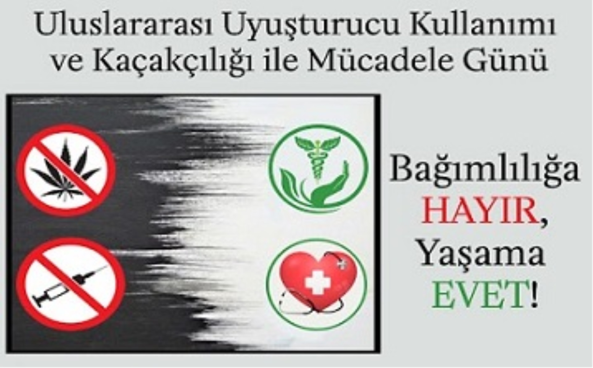 Uluslararası Uyuşturucu Kullanımı ve Kaçakcılığı ile Mücadele Günü