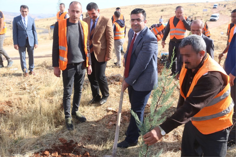ADALET ORMANI BÜYÜYOR
