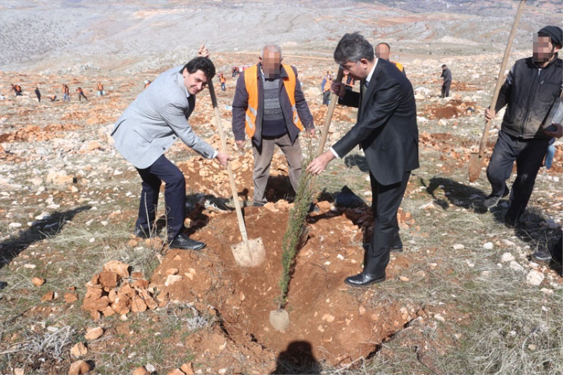 ADALET ORMANI HER GEÇEN YIL BÜYÜYOR