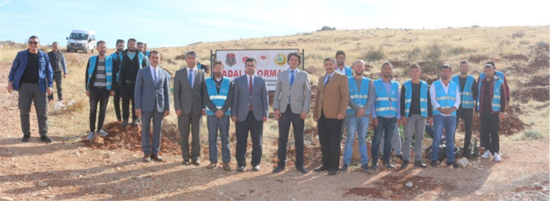 ADALET ORMANI BÜYÜYOR