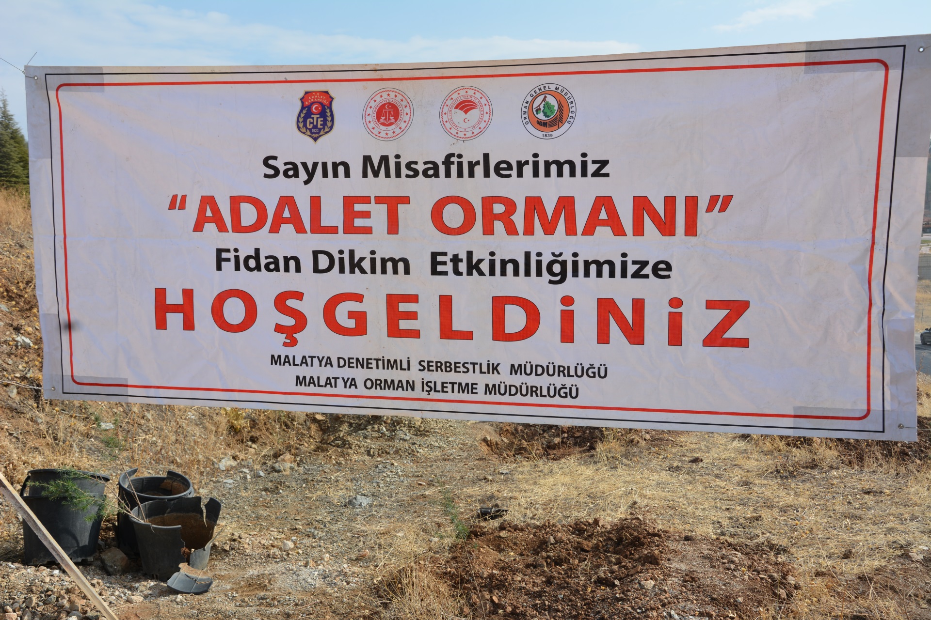 11 Kasım Milli Ağaçlandırma Günü 