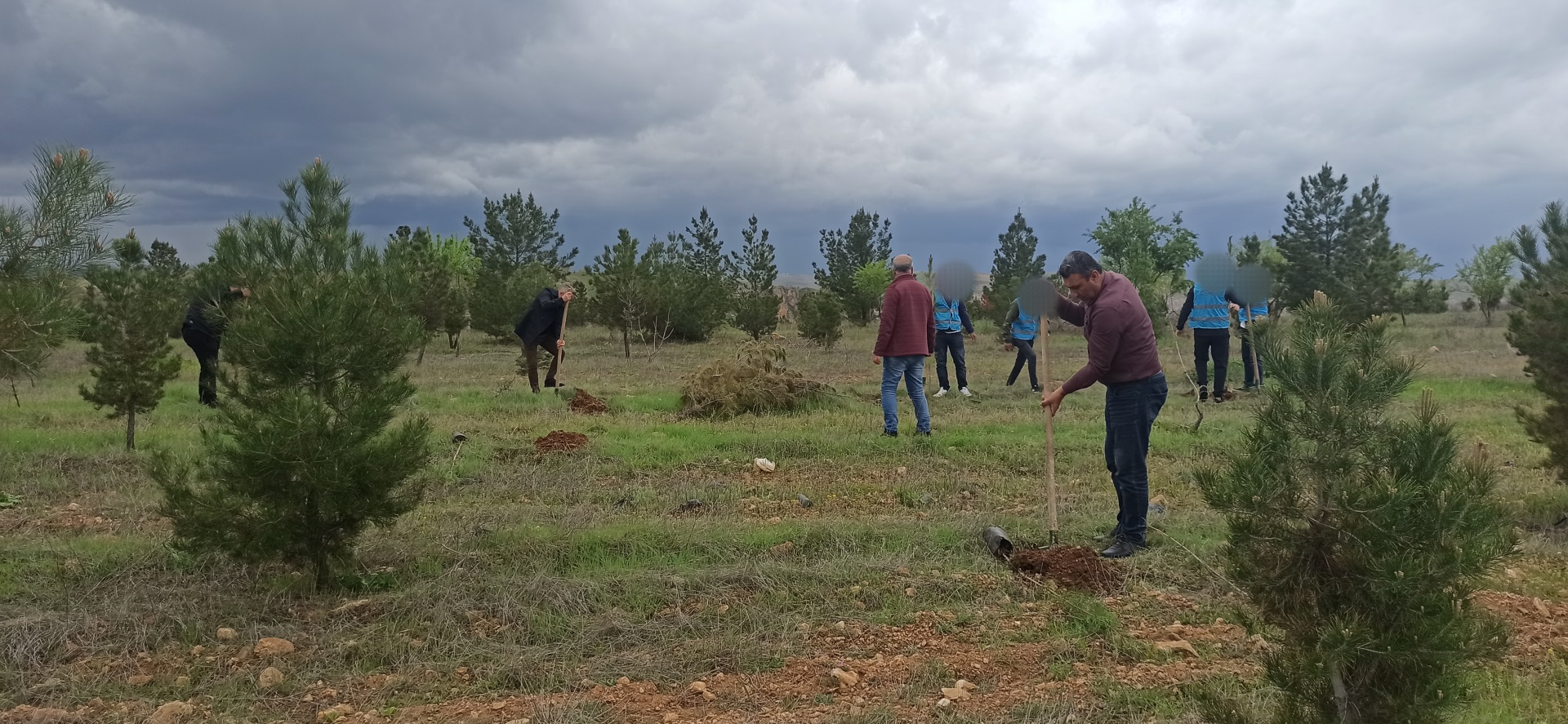 Denetimli Serbestlik Müdürlüğümüz tarafından  21-26 Mart Orman Haftası' etkinliği kapsamında doğaya katkı sağlamak amacıyla " Adalet Ormanı" içerisinde boş kalan alanlara fidan dikimi gerçekleştirildi