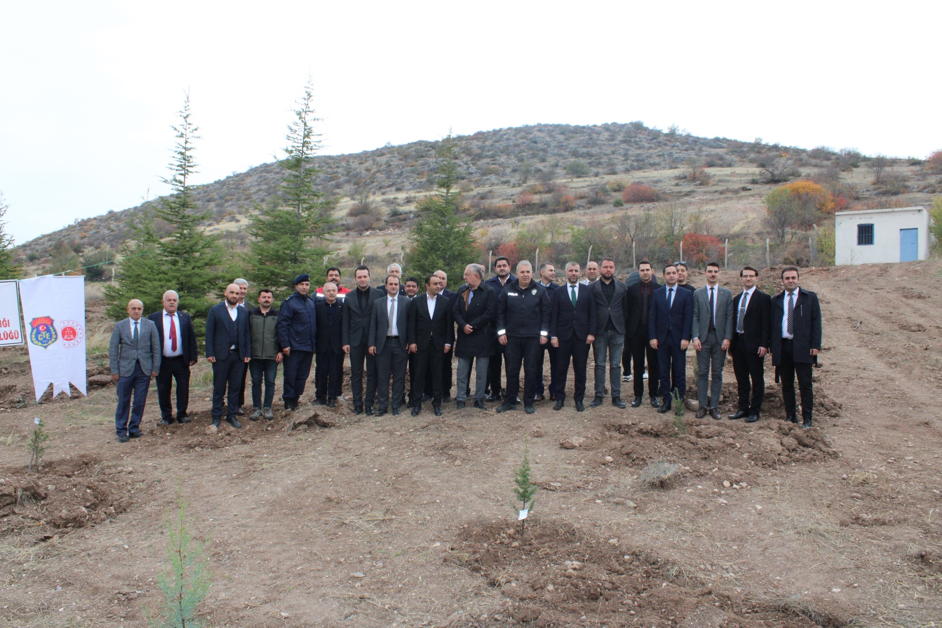 11 Kasım Milli Ağaçlandırma  Günü