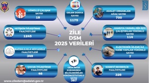 2025 Zile Dsm Verileri