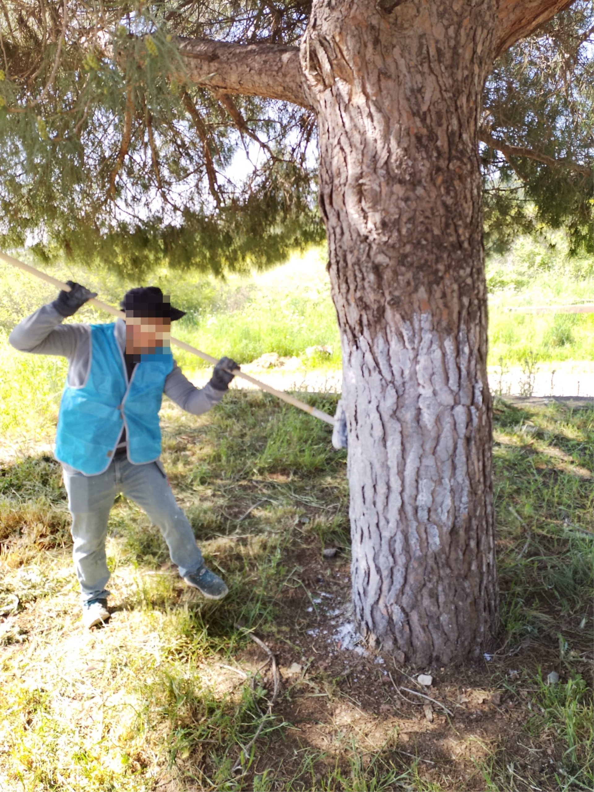 Biga Kozçeşme Köyünde Kamu Hizmeti