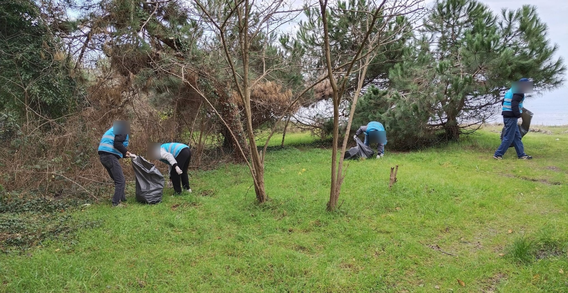 ÜNYE'DE ADALET ORMANINDA YENİLEME ÇALIŞMALARI 