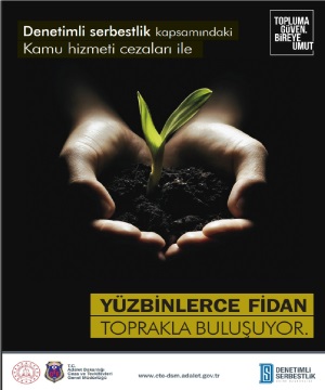 BİNLERCE AĞAÇ TOPRAKLA BULUŞUYOR