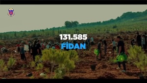 11 Kasım 2024 Milli Ağaçlandırma Günü