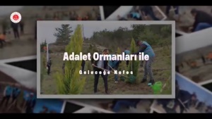 #AdaletOrmanları