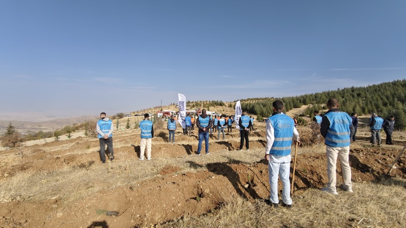 Kamu Yararına Çalışma