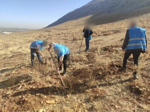 Deprem Şehitleri Şeyda - Bayram Korkmaz Adalet Ormanında Fidanların bakımı
