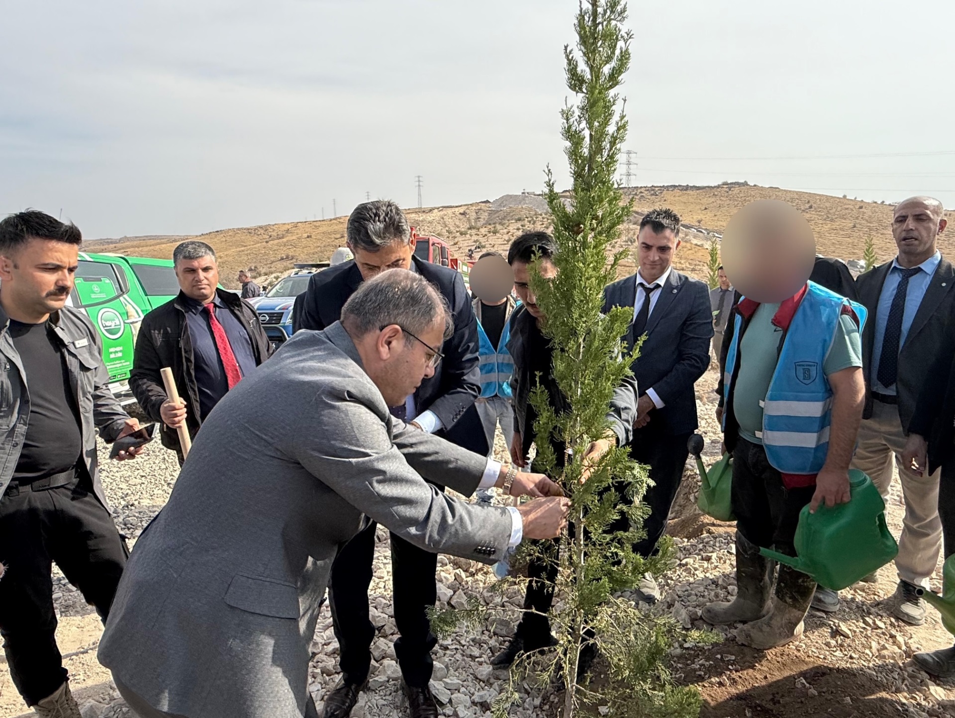 11 Kasım Milli Ağaçlandırma Günü