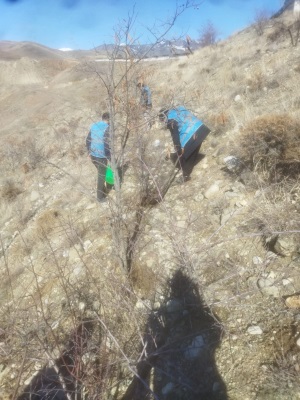 Adalet Ormanı Bakım ve Onarımı