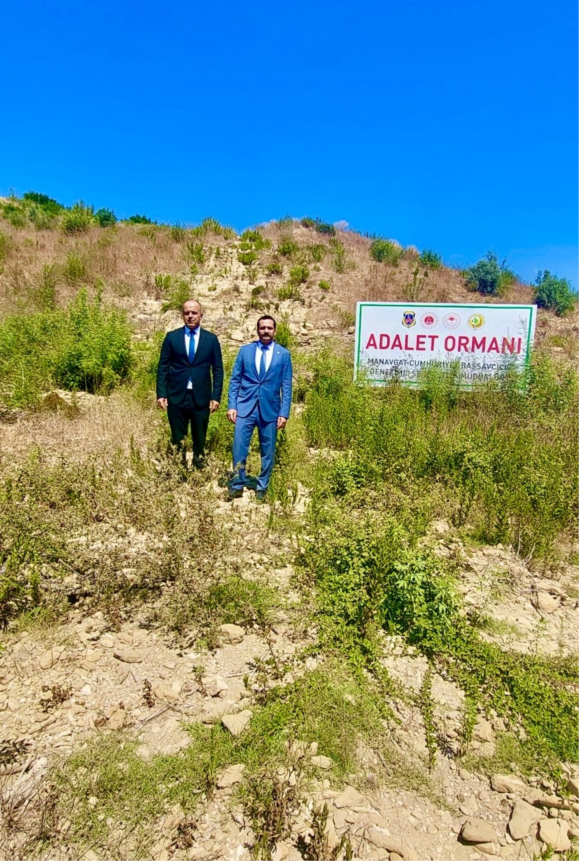 ADALET ORMANI