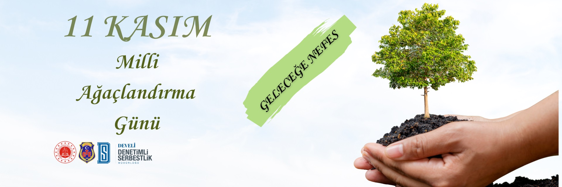 11 Kasım Milli Ağaçlandırma Günü