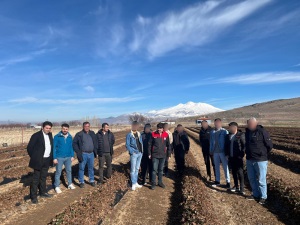 Çilek Yetiştiriciliği Kursu Yerinde Eğitim