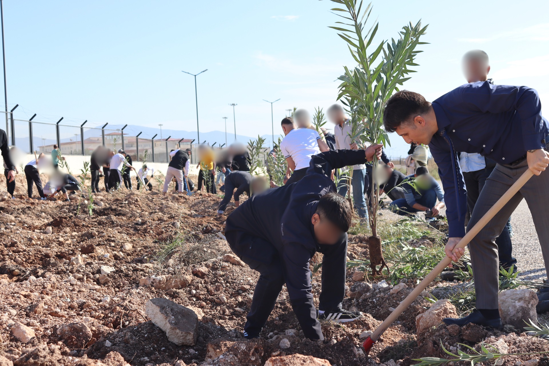 CEZAEVİ KAMPÜSÜ ÇEVRESİNE FİDAN DİKİMİ YAPILDI. 